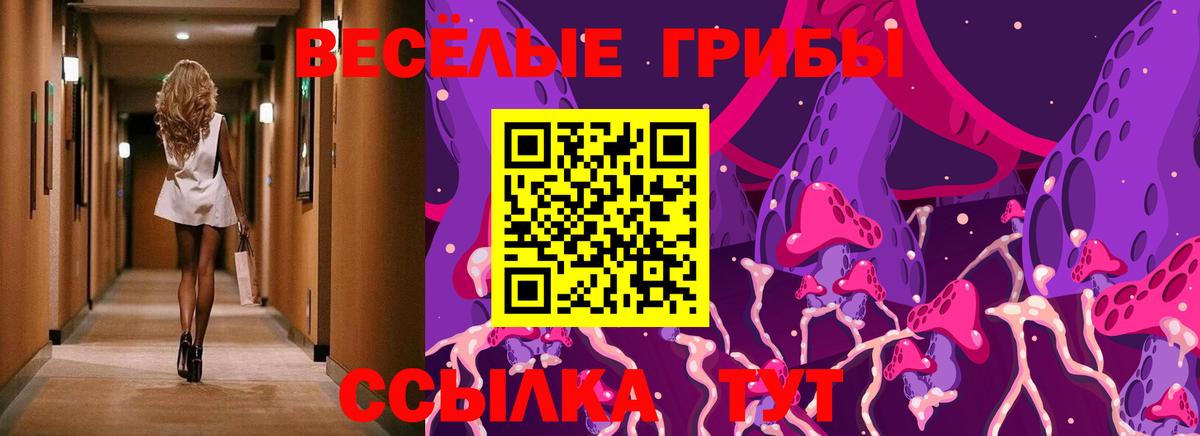 Сальск  Псилоцибиновые грибы Cubensis  где продают   Вход с VPN  Галлюциногенные грибы Magic Shrooms 