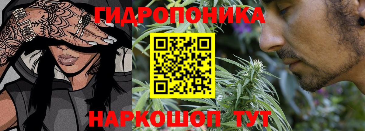 Шишки марихуана VHQ Сальск